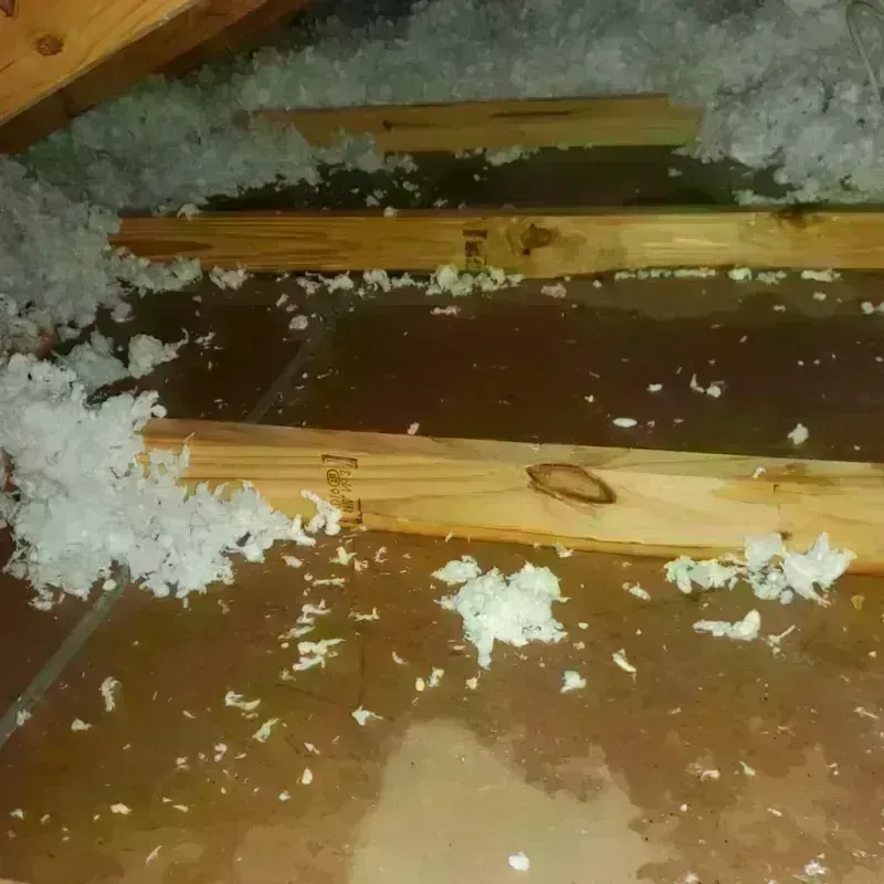 Attic Water Damage in Foster City, CA