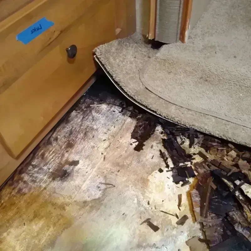 Wood Floor Water Damage in Foster City, CA